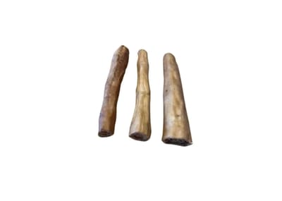 Beef Tail