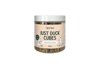 Cubes Jar - Just Duck