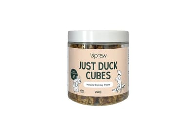 Cubes Jar - Just Duck